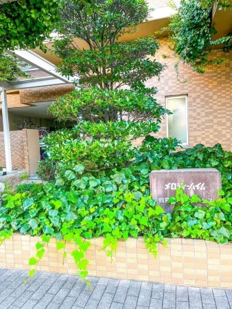 大阪市鶴見区鶴見、マンションの画像です