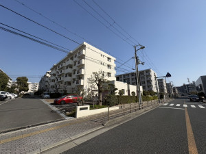 大東市川中新町、マンションの画像です