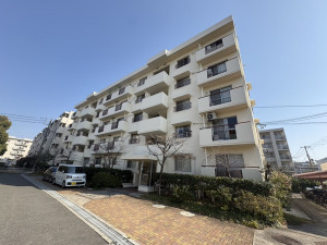 大東市川中新町、マンションの画像です