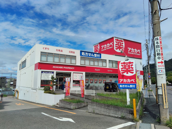 大東市明美の里町、中古一戸建てのドラッグストア画像です