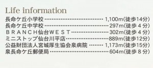 仙台市泉区長命ケ丘、新築一戸建ての画像です