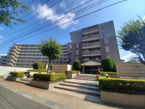 仙台市泉区八乙女中央、マンションの画像です