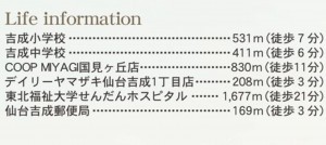 仙台市青葉区吉成、新築一戸建ての画像です