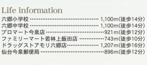 仙台市若林区、新築一戸建ての画像です