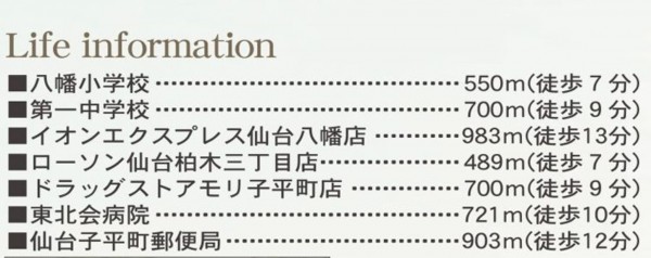 仙台市青葉区、新築一戸建ての画像です