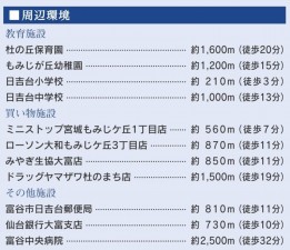 富谷市、新築一戸建ての画像です