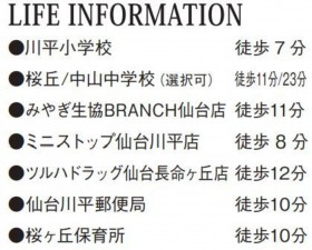 仙台市青葉区川平、新築一戸建ての画像です