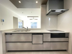 仙台市宮城野区東仙台、新築一戸建ての画像です