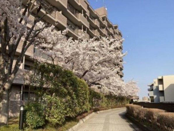 仙台市泉区市名坂、マンションの画像です