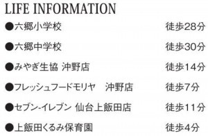 仙台市若林区、新築一戸建ての画像です
