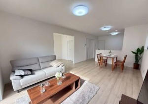 仙台市若林区、新築一戸建ての画像です