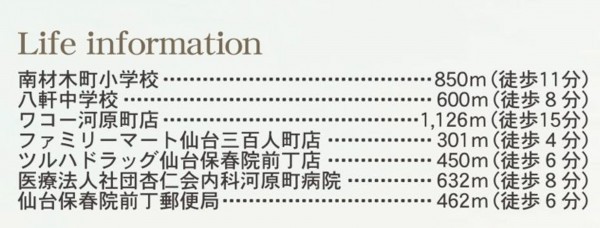 仙台市若林区、新築一戸建ての画像です