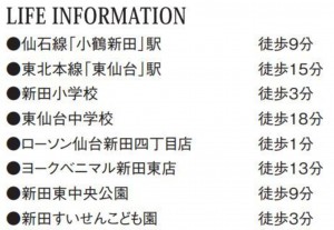 仙台市宮城野区新田、新築一戸建ての画像です