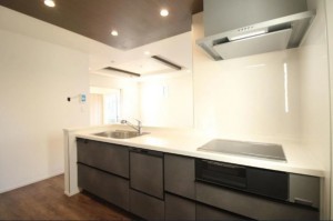 仙台市泉区南中山、新築一戸建ての画像です