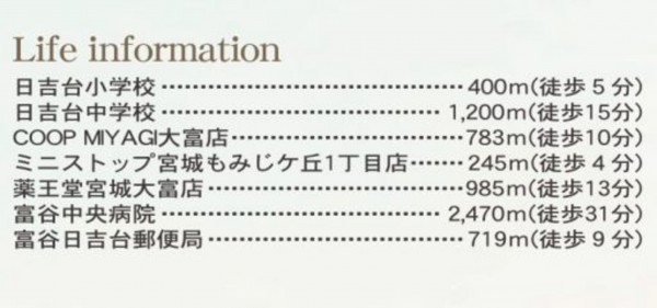 富谷市、新築一戸建ての画像です