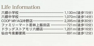 仙台市若林区、新築一戸建ての画像です