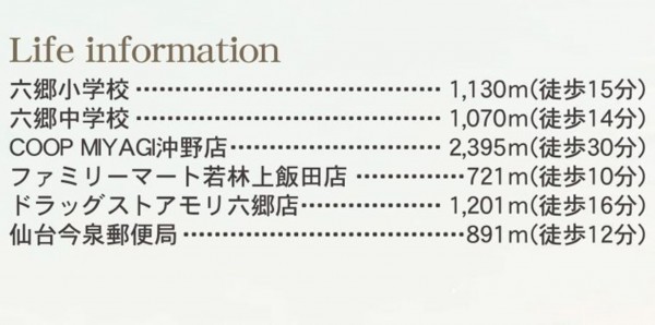 仙台市若林区、新築一戸建ての画像です