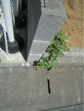 静岡市駿河区中島、土地のその他画像です