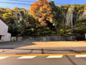 静岡市駿河区青木、土地の外観画像です
