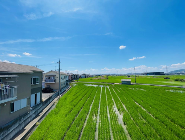 京都市伏見区久我本町、中古一戸建ての周辺画像画像です