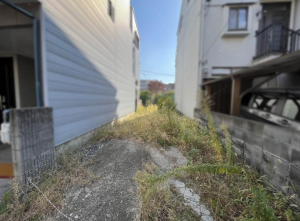 京都市伏見区向島中島町、土地の画像です