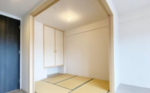 京都市伏見区横大路下三栖東ノ口、マンションの画像です