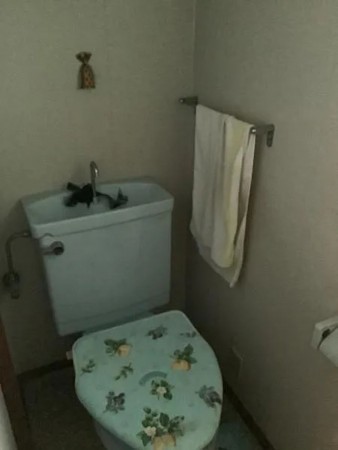 京都市伏見区桃山町正宗、中古一戸建てのトイレ画像です