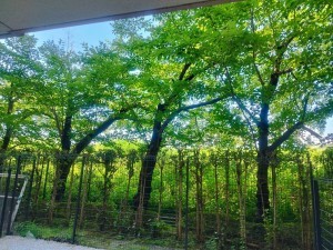 京都市伏見区舞台町、マンションの画像です