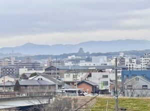 京都市伏見区横大路下三栖山殿、マンションの画像です