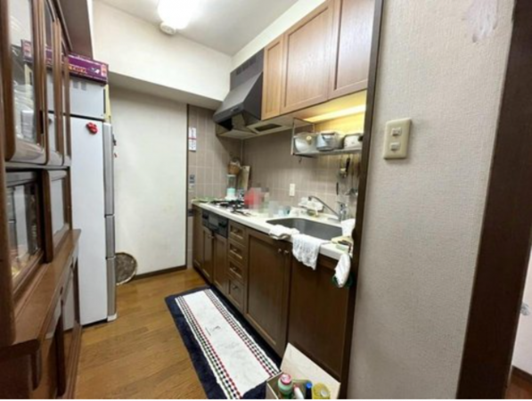 京都市伏見区桃山町丹後、マンションの画像です