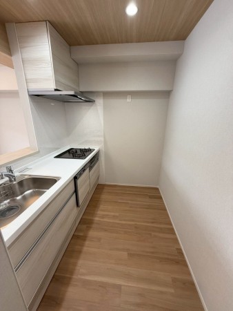 京都市伏見区桃山町松平筑前、マンションの画像です