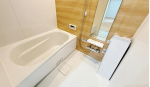 京都市伏見区桃山町丹後、マンションの画像です