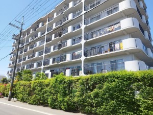 京都市伏見区津知橋町、マンションの画像です