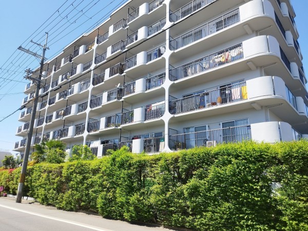 京都市伏見区津知橋町、マンションの画像です
