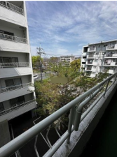 京都市伏見区桃山町泰長老、マンションの画像です