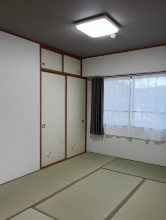 京都市伏見区桃山町和泉、マンションの画像です