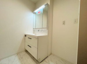 京都市南区吉祥院春日町、新築一戸建ての画像です