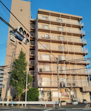 京都市伏見区横大路天王前、マンションの画像です