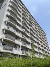 京都市伏見区向島二ノ丸町、マンションの画像です