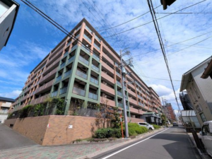 京都市伏見区桃山最上町、マンションの画像です
