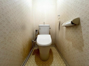 京都市南区吉祥院仁木ノ森町、マンションの画像です