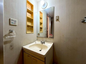 京都市南区吉祥院仁木ノ森町、マンションの画像です