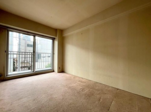 京都市南区吉祥院仁木ノ森町、マンションの画像です