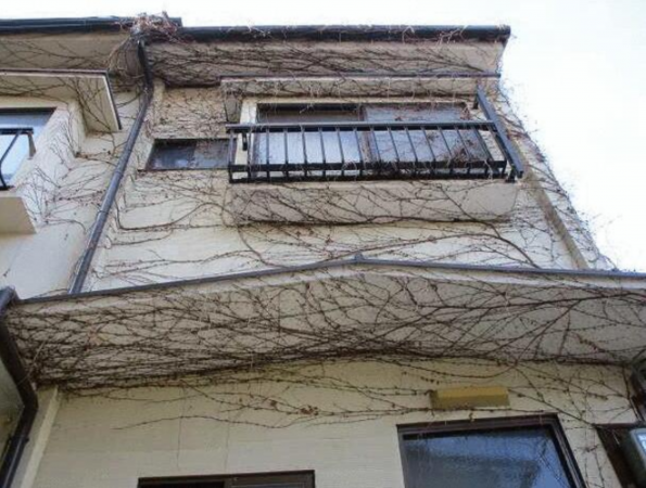 京都市伏見区深草大亀谷万帖敷町、収益物件/住宅の画像です