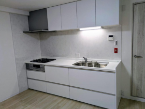 京都市伏見区深草出羽屋敷町、マンションの画像です