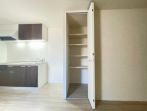 京都市伏見区羽束師志水町、収益物件/住宅の画像です