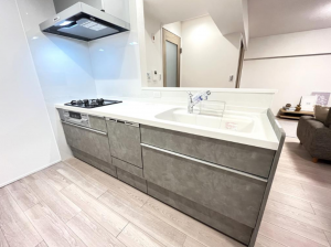 京都市伏見区東柳町、マンションの画像です