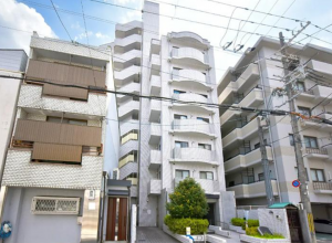 京都市伏見区東町、マンションの画像です