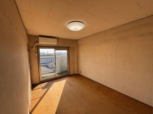 京都市南区吉祥院大河原町、マンションの画像です