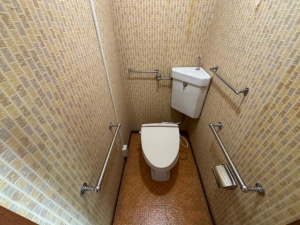 京都市南区吉祥院大河原町、マンションの画像です